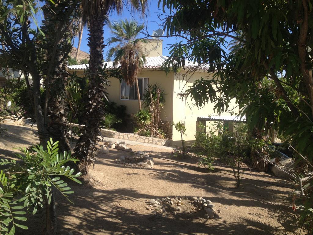 Surfer'S Paradise, Yoga&Food Garden@Costa Azul, Los Cabos Сан-Хосе-дель-Кабо Экстерьер фото